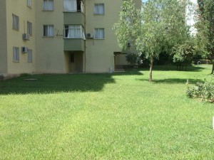 DSCF0555
